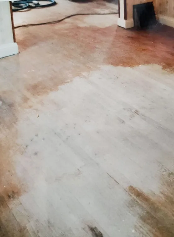 Wood Flooring Repair Solutions