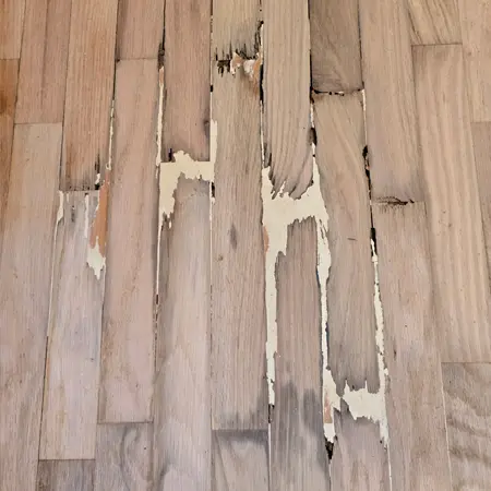Damaged hardwood floor boards before repair and refinishing
